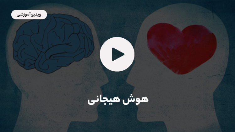 هوش هیجانی